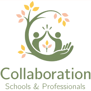 Occupational therapy grounded in compassion, connection, and co-regulation